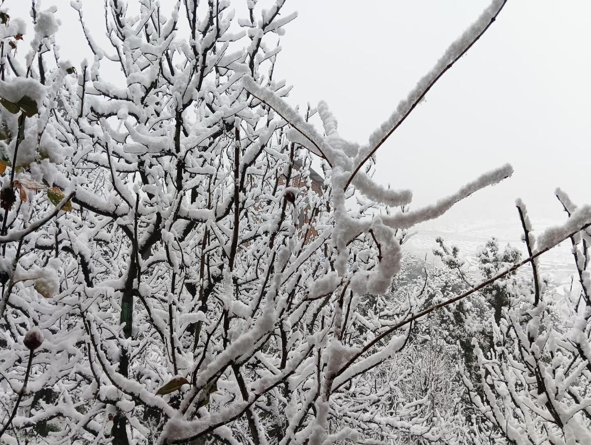 Roop Mountain Homestay Manāli Dış mekan fotoğraf